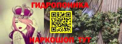 ГАЛЛЮЦИНОГЕННЫЕ ГРИБЫ Краснознаменск