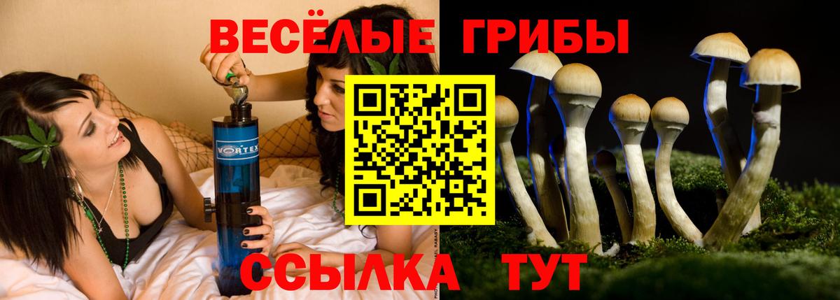 Псилоцибиновые грибы Psilocybine cubensis  Вход с VPN  Керчь 